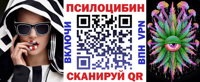 где купить   Сосенский  Галлюциногенные грибы Magic Shrooms 